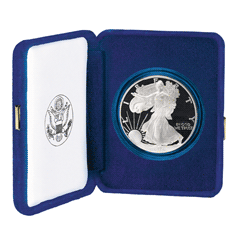 2007 Proof Silver Eagle