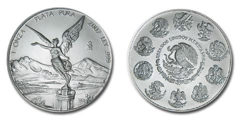 2007 Silver Libertad