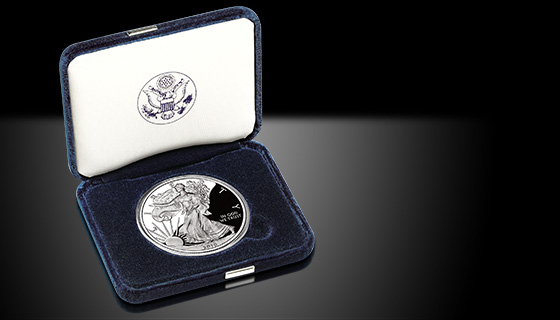 2010 Proof Silver Eagle