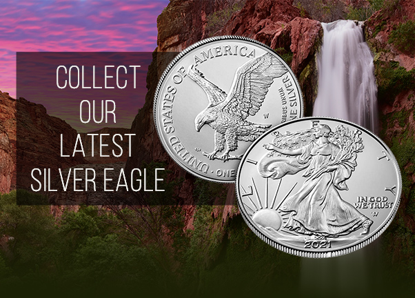 2021-W Burnished Silver Eagle